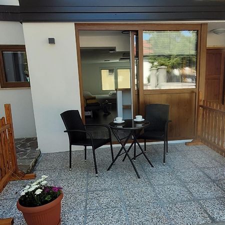 Apartma Studio Jana 克拉尼斯卡戈拉 外观 照片