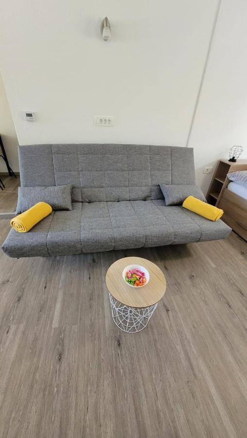 Apartma Studio Jana 克拉尼斯卡戈拉 外观 照片