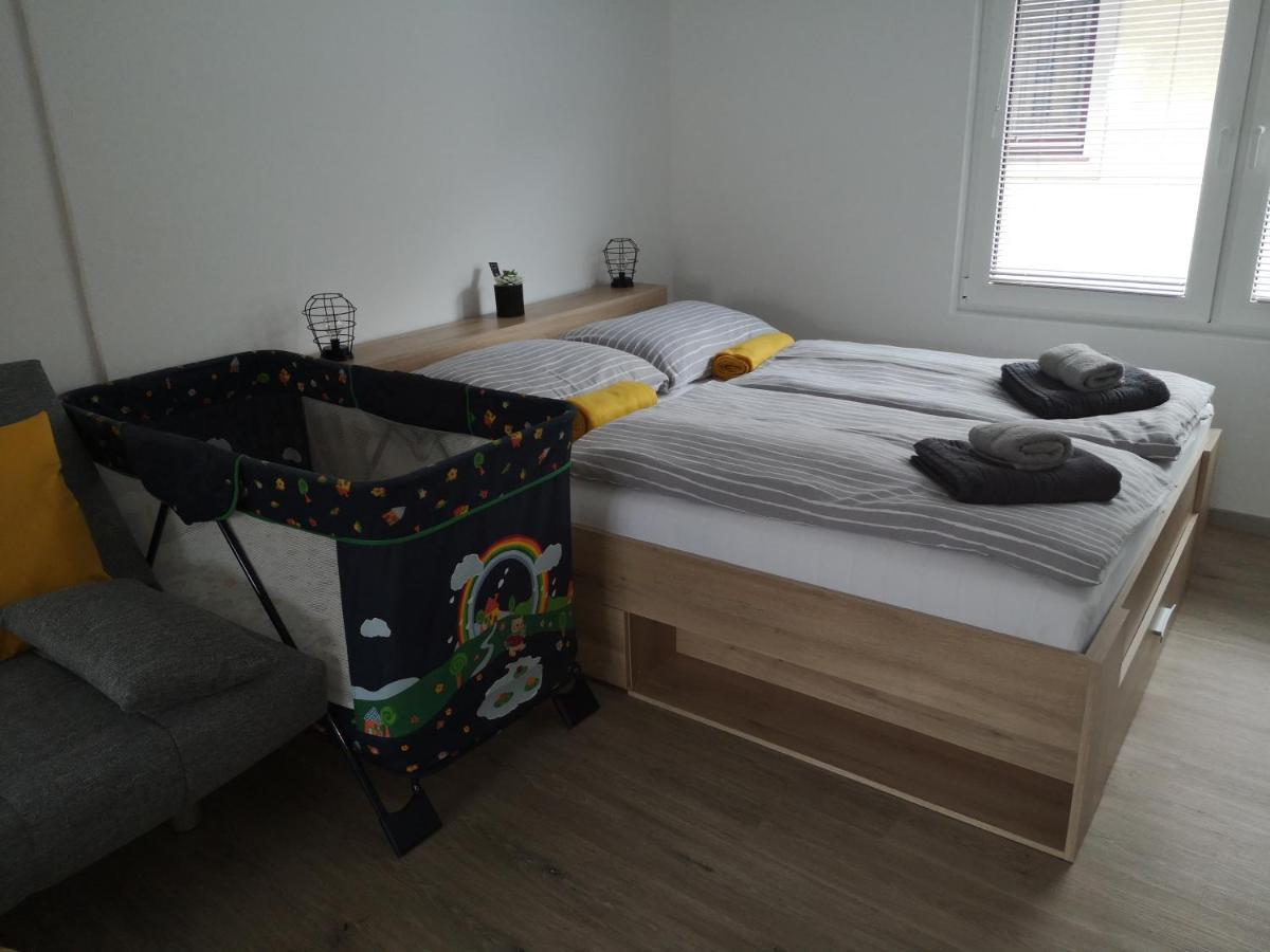 Apartma Studio Jana 克拉尼斯卡戈拉 外观 照片