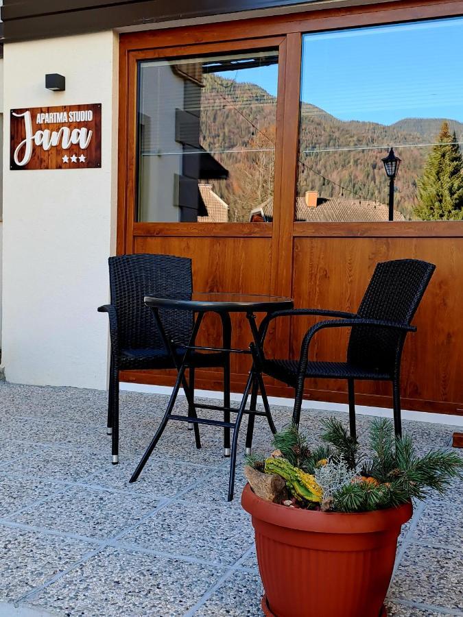 Apartma Studio Jana 克拉尼斯卡戈拉 外观 照片