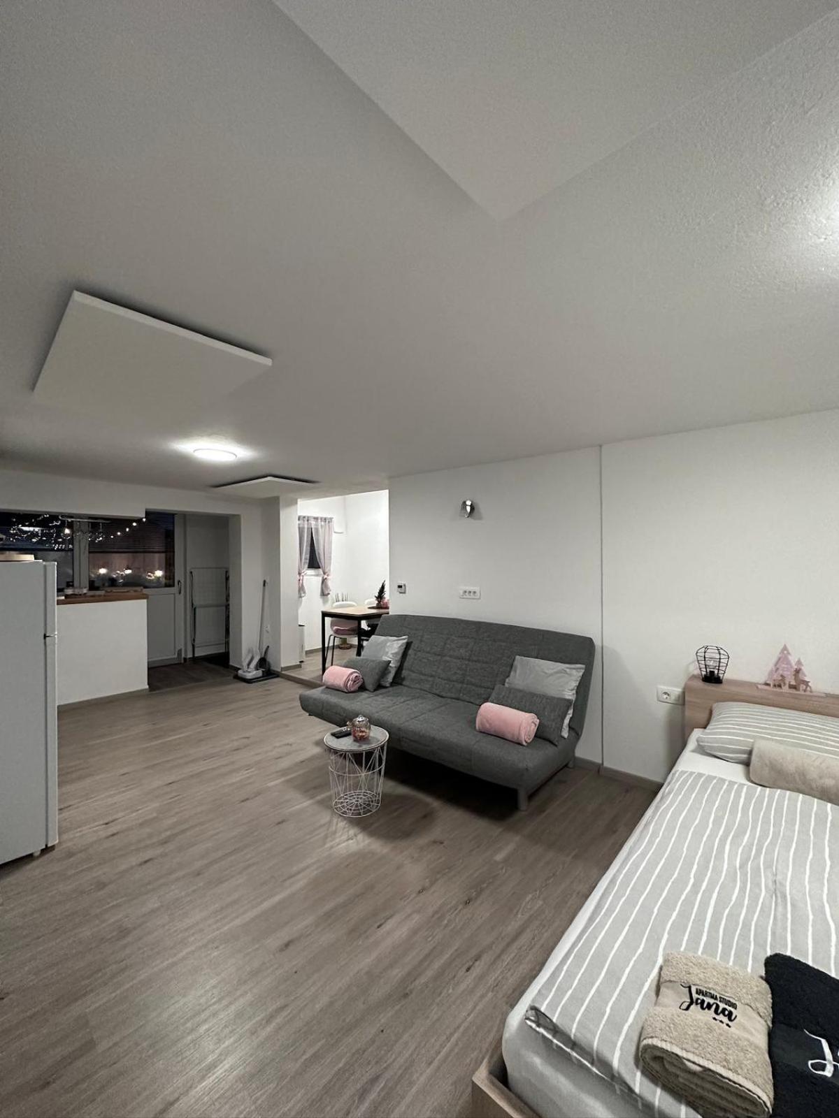 Apartma Studio Jana 克拉尼斯卡戈拉 外观 照片