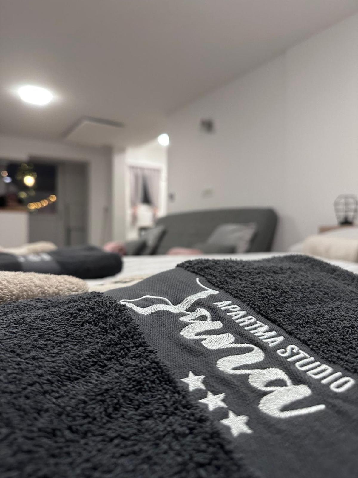 Apartma Studio Jana 克拉尼斯卡戈拉 外观 照片