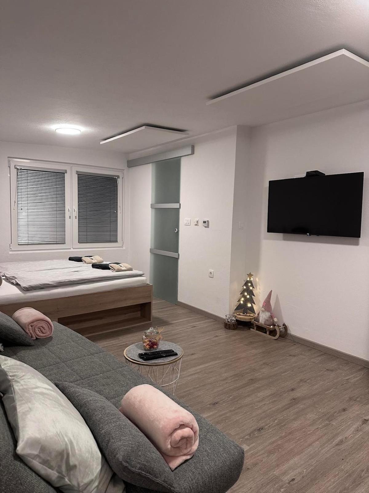 Apartma Studio Jana 克拉尼斯卡戈拉 外观 照片
